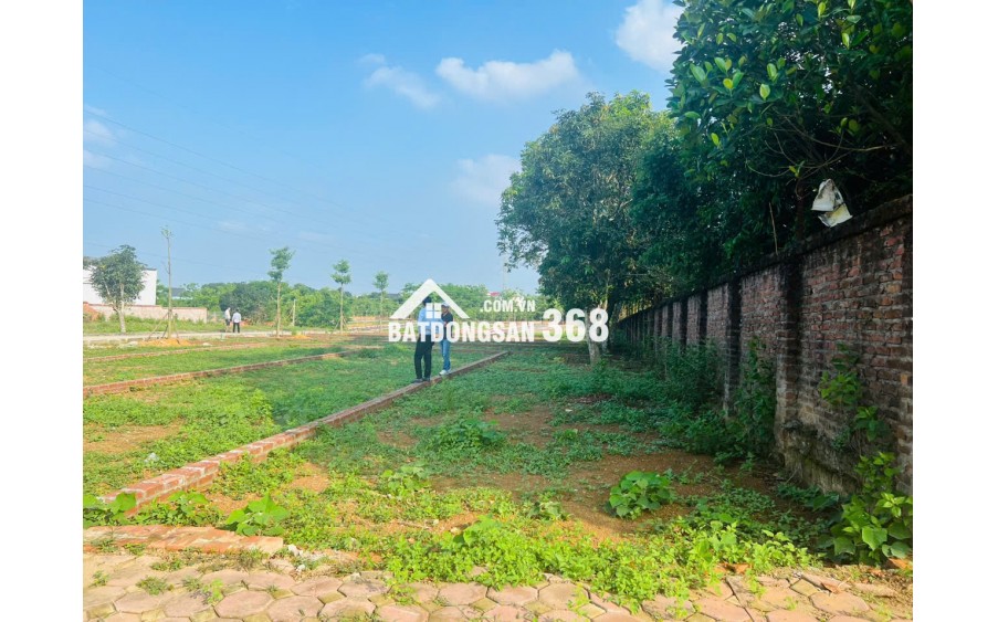 Bán đất nền Láng Hòa Lạc 100m2 giá 2.9 tỷ – đối diện Vin Trường Y, khu dân cư sầm uất  Nguyễn Hùng BĐS - 0989333012